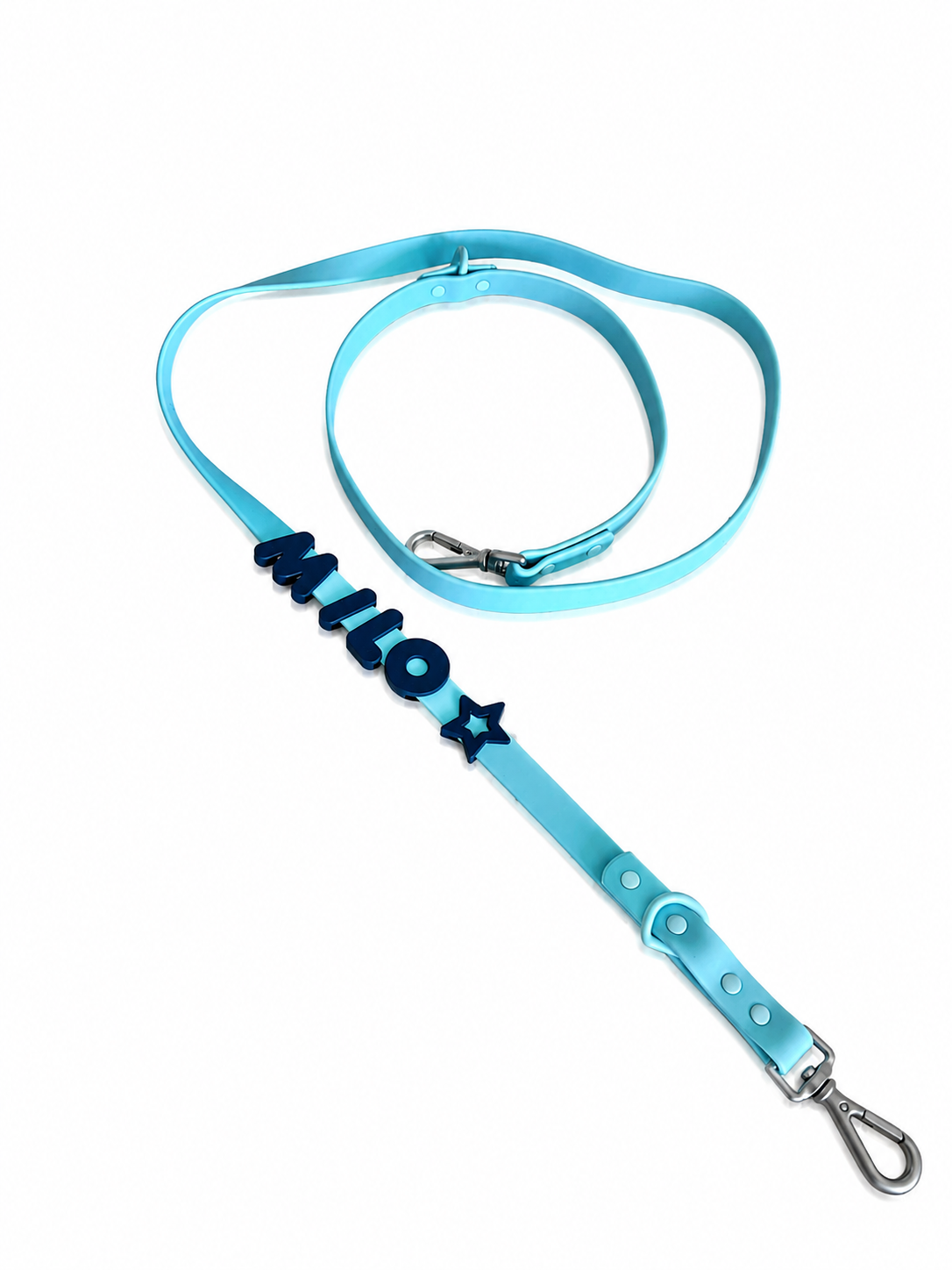 Dog Leash