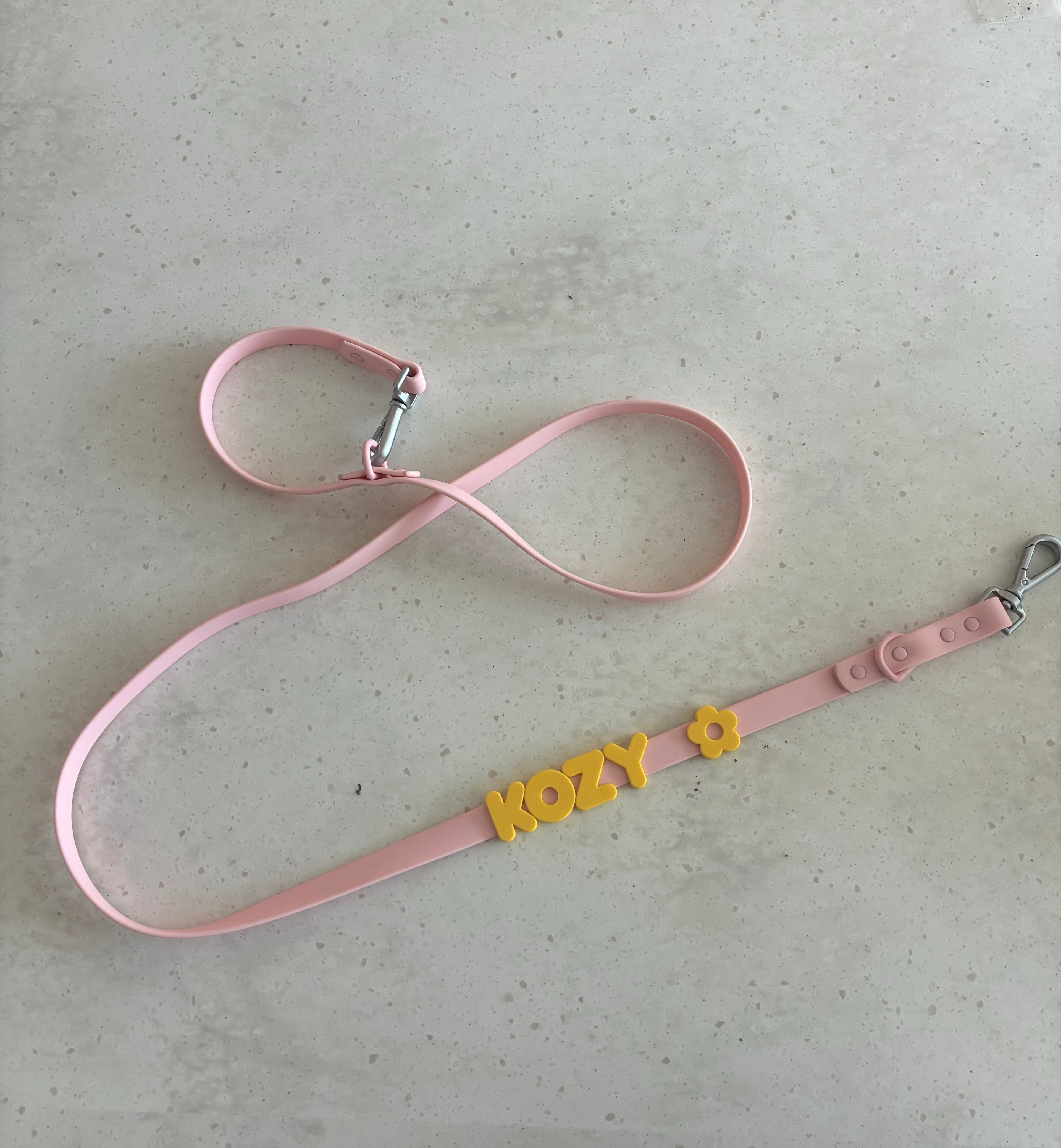 PERSONALIZED Everyday Dog Leash