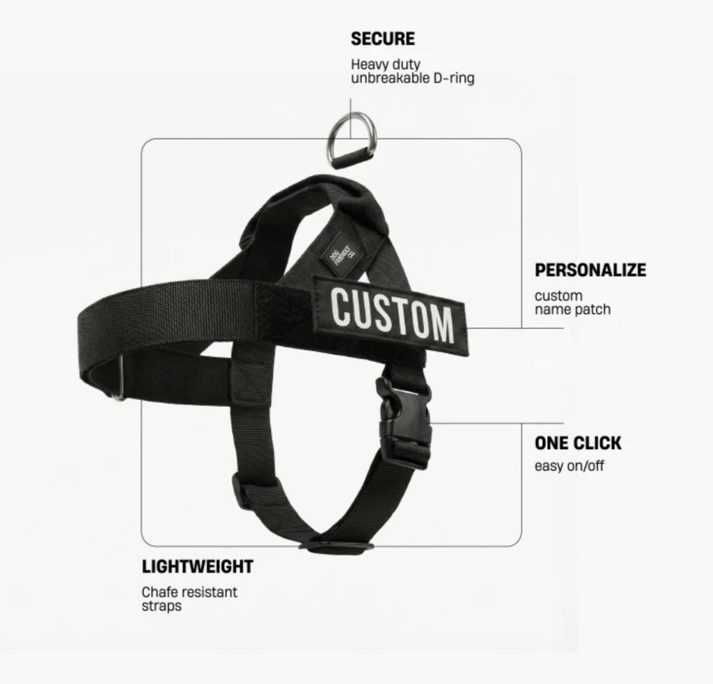 Personalised Dog Harness