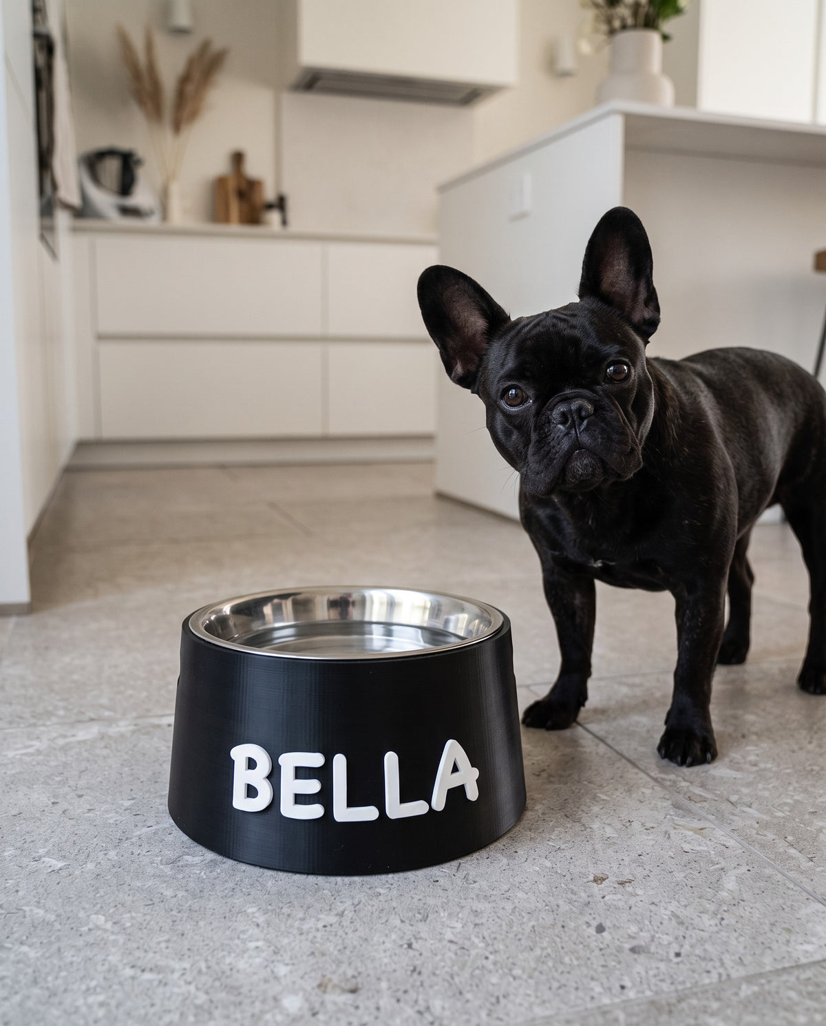 Black cone bowl stand with white name and a French bulldog