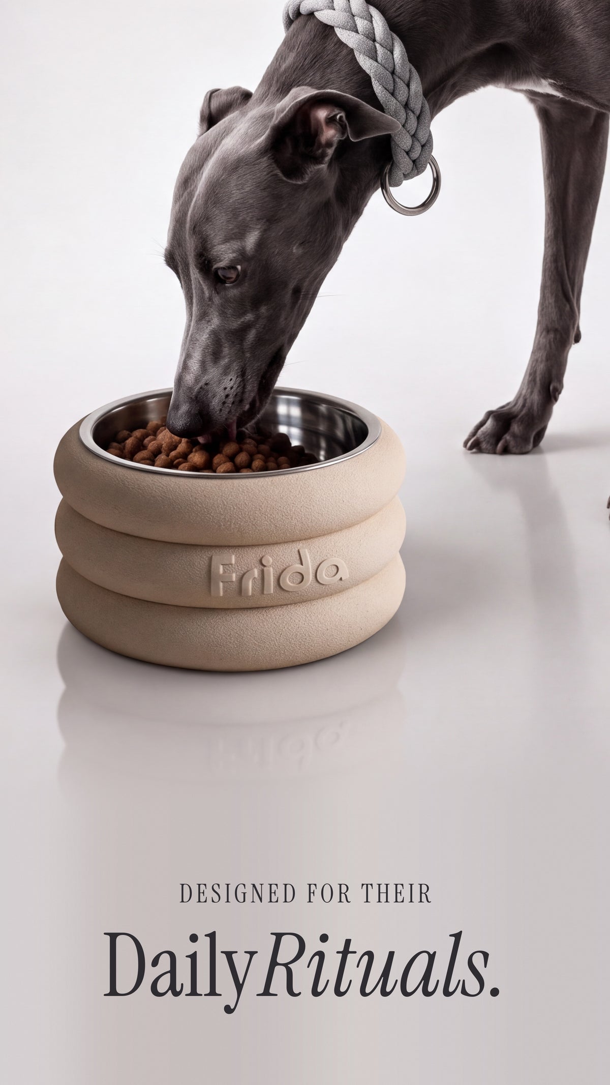 Personalised Ring Dog Bowl Stand
