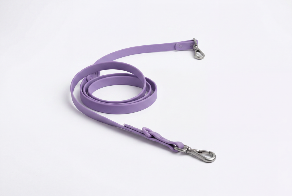 Dog Leash