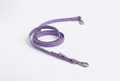 Dog Leash
