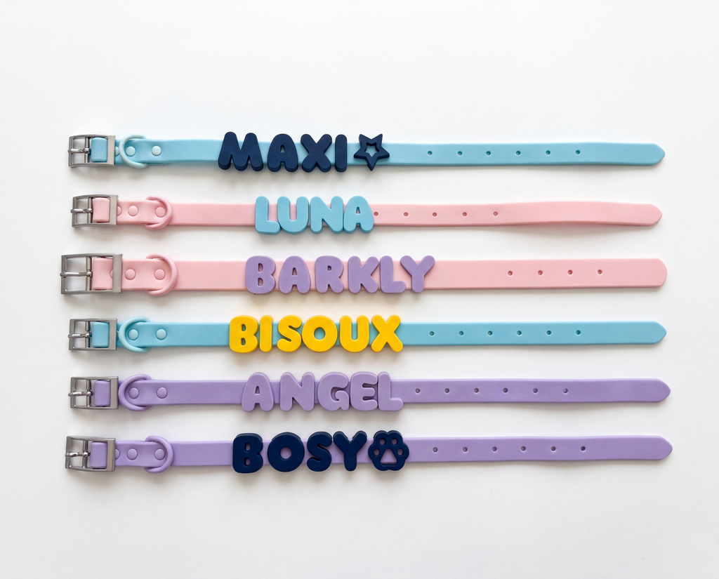 Personalized Dog Collar — Custom Name Letters
